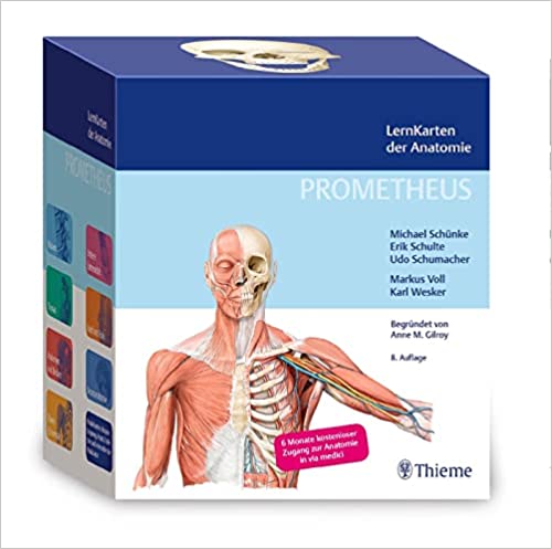 Anatomie lernen mit den Prometheus Lernkarten
