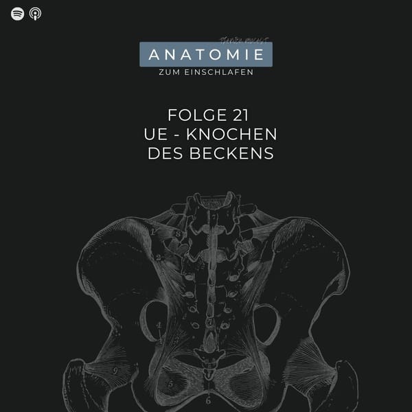 Folge 21 - UE Knochen des Beckens
