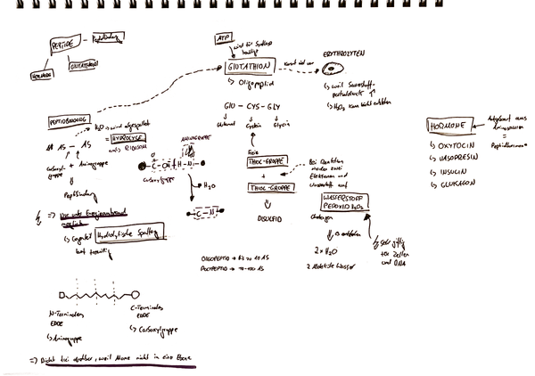 Peptide