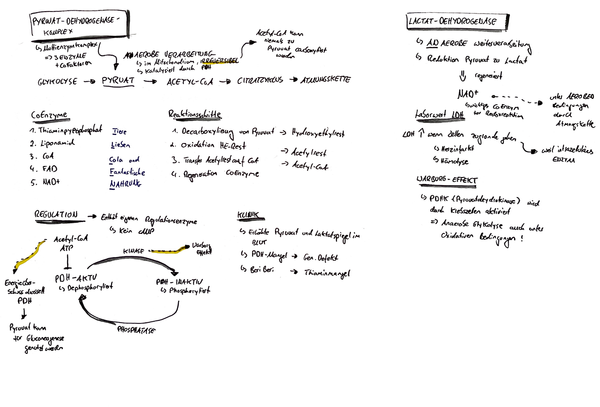 Pyruvatdehydrogenasereaktion