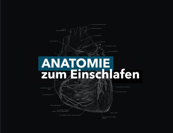 Folge 24 - Hüftgelenk