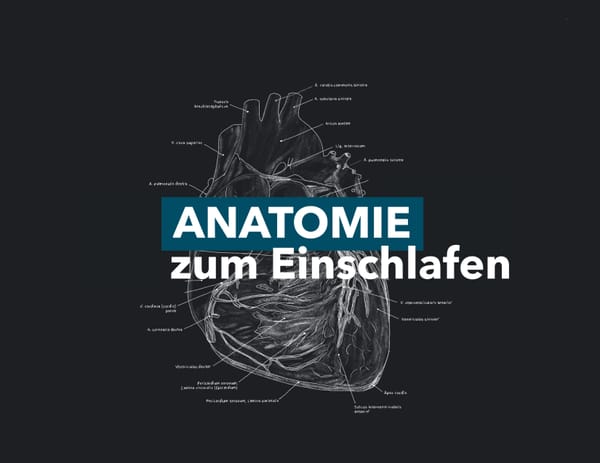 Folge 25 - Kniegelenk
